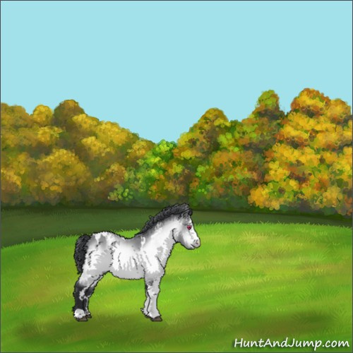 Horse Color:White Spotted Brown Chinchilla 