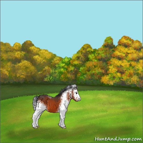Horse Color:White Spotted Brown 