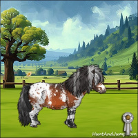 Horse Color:White Spotted Bay Appaloosa 