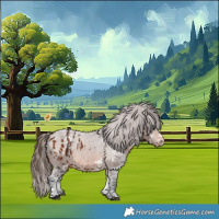 Horse Color:White Spotted Bay Blanket 
