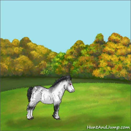 Horse Color:White Spotted Bay Chinchilla 