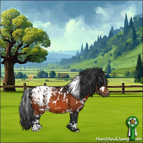 Horse Color:White Spotted Bay Appaloosa 