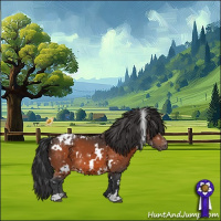 Horse Color:White Spotted Bay Appaloosa 