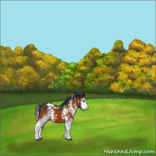 Horse Color:White Spotted Brown 