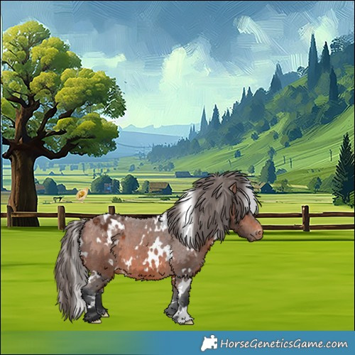 Horse Color:White Spotted Bay Appaloosa