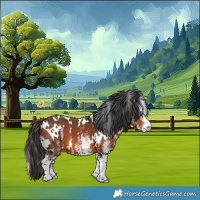 Horse Color:White Spotted Bay 