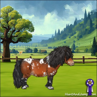 Horse Color:White Spotted Bay Appaloosa 