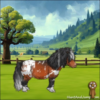 Horse Color:White Spotted Bay Appaloosa 