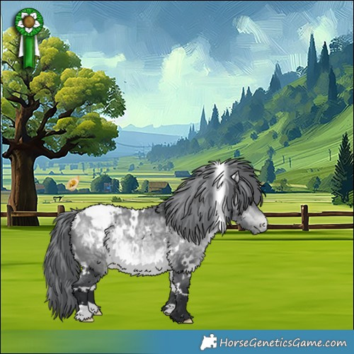 Horse Color:White Spotted Bay Chinchilla Appaloosa 