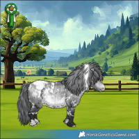 Horse Color:White Spotted Bay Chinchilla Appaloosa 