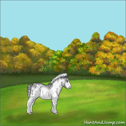 Horse Color:White Spotted Brown Chinchilla 