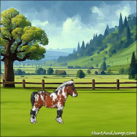 Horse Color:White Spotted Brown 