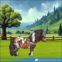 Horse Color:White Spotted Bay Blanket 
