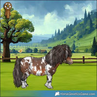 Horse Color:White Spotted Brown Blanket 