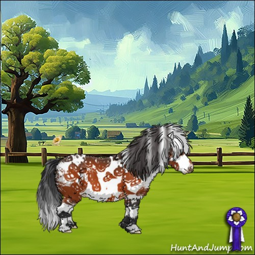 Horse Color:White Spotted Brown Splash 