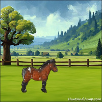 Horse Color:White Spotted Bay Varnish 