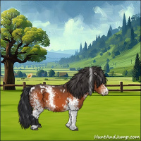 Horse Color:White Spotted Bay 