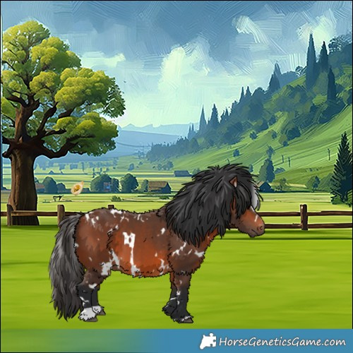 Horse Color:White Spotted Bay 