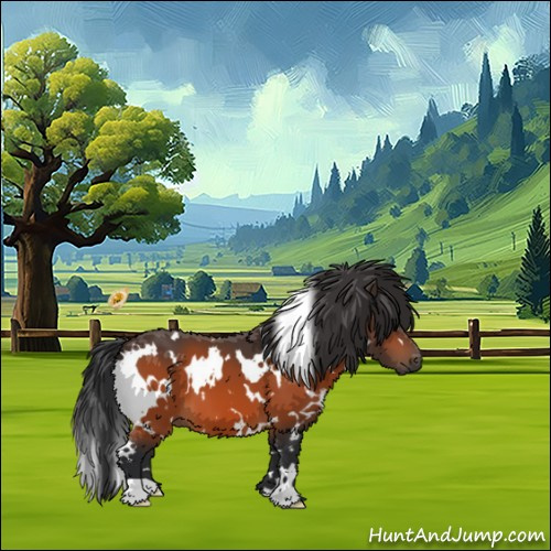 Horse Color:White Spotted Bay 