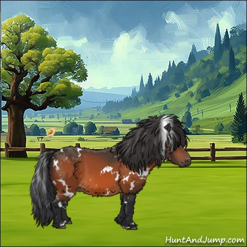 Horse Color:White Spotted Brown 