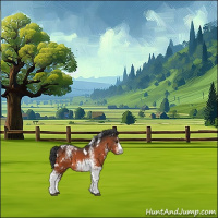 Horse Color:White Spotted Bay 
