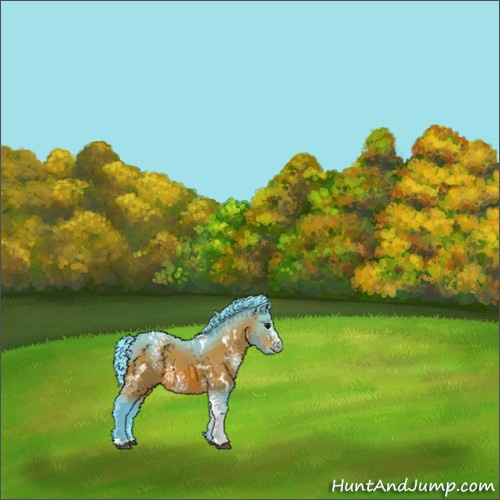Horse Color:Watercolor White Spotted Bay 