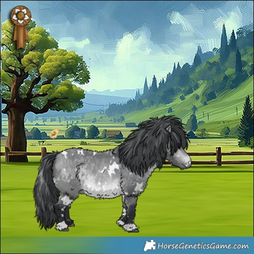 Horse Color:White Spotted Bay Chinchilla