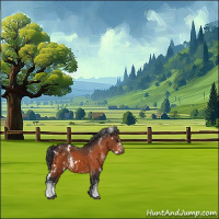 Horse Color:White Spotted Bay 