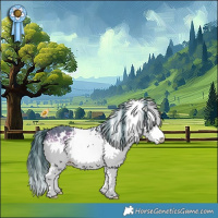 Horse Color:Watercolor White Spotted Bay 