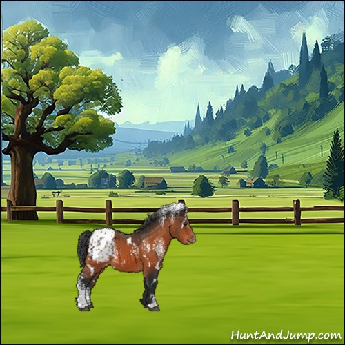 Horse Color:White Spotted Brown Appaloosa 