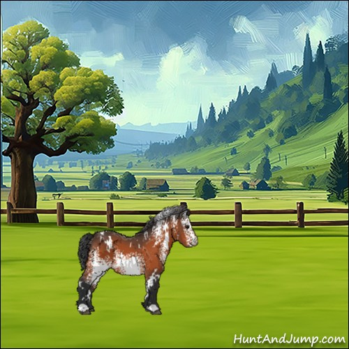 Horse Color:White Spotted Bay 