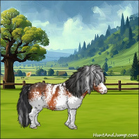 Horse Color:White Spotted Bay 