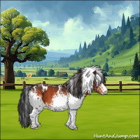 Horse Color:White Spotted Bay 