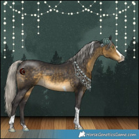 Horse Color:White Spotted Silver Buckskin Splash Tobiano 