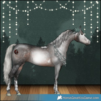 Horse Color:Gray White Spotted Silver Brown Tobiano 