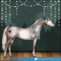 Horse Color:Gray White Spotted Chocolate Palomino Tobiano 