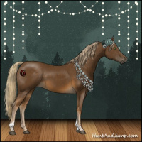 Horse Color:Chocolate Palomino Tobiano 