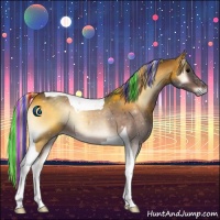 Horse Color:Painted Silver Bay Onyx Tobiano 