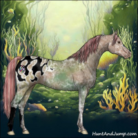 Horse Color:Painted Silver Brown Ice Dun Appaloosa 