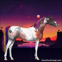 Horse Color:Painted Brown Tobiano 