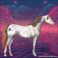 Horse Color:Nacre Sable Cream Champagne Roan Pearl Appaloosa 