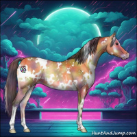 Horse Color:Nacre White Spotted Buckskin Roan Onyx 