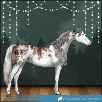 Horse Color:White Spotted Silver Brown 