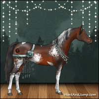 Horse Color:White Spotted Brown Tobiano Rabicano 