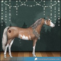 Horse Color:White Spotted Silver Brown Dun 