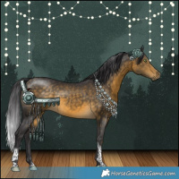 Horse Color:White Spotted Buckskin Tobiano 