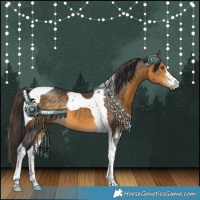 Horse Color:White Spotted Buckskin Tobiano 