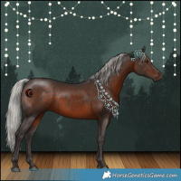 Horse Color:White Spotted Silver Brown 