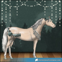 Horse Color:Cremello Tobiano Rabicano 