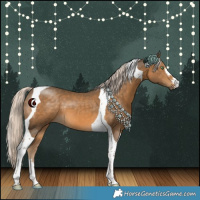 Horse Color:Chocolate Palomino Tobiano 